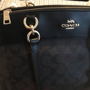 New Coach Brooke Carryall